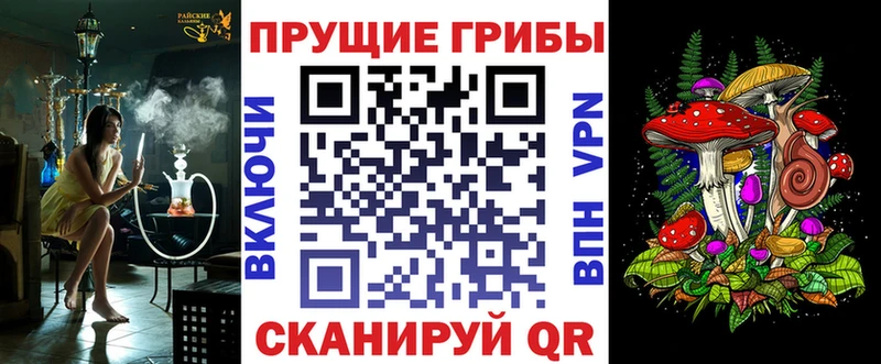 mega онион  Усть-Джегута  Псилоцибиновые грибы Psilocybine cubensis  цены наркотик 