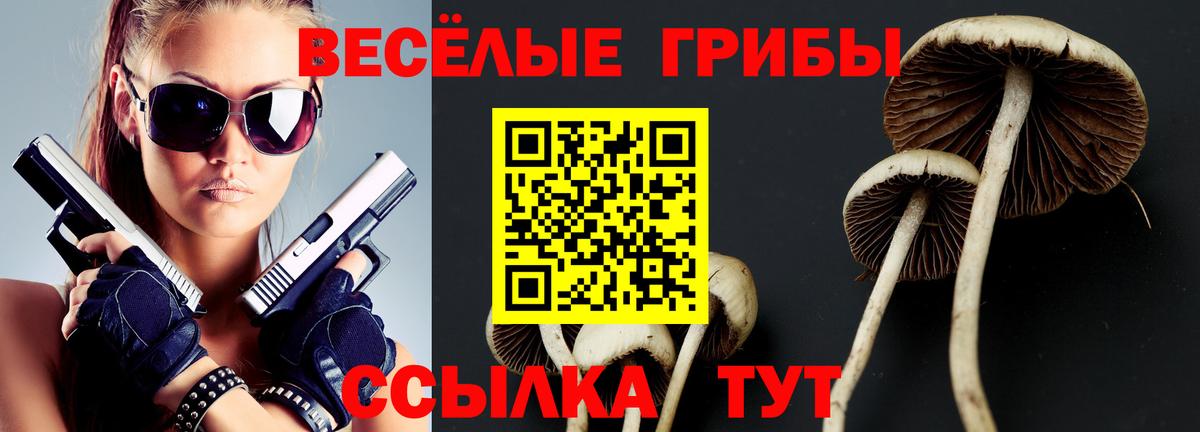 Псилоцибиновые грибы Psilocybe  купить наркотик  Вход с VPN  Усть-Джегута  Галлюциногенные грибы Psilocybe 